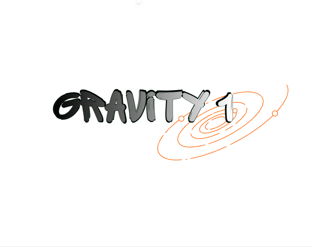 T-shirt gravity 1 lourd unisexe